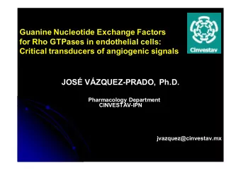 Guanine Nucleotide Exchange Factors  for Rho GTPases in endothelial cells:  Critical transducers of