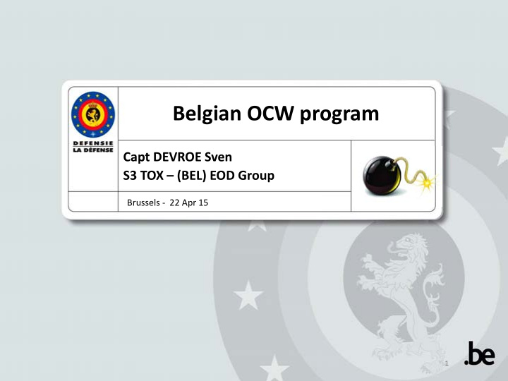 belgian ocw program