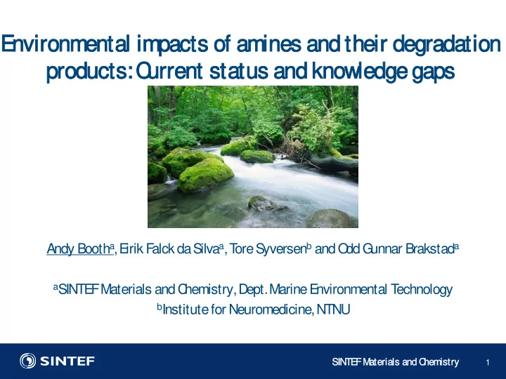 e nvironmen ental al impac acts o of am amines es an and