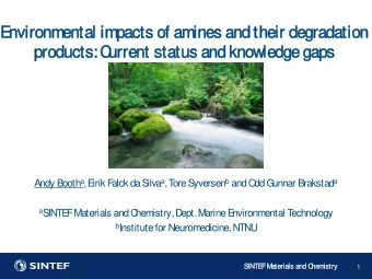 E  nvironmen  ental  al impac  acts o  of am  amines  es an  and thei  eir d  deg  egrad  adat