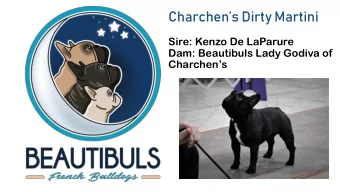 Charchens Dirty Martini  Sire: Kenzo De LaParure  Dam: Beautibuls Lady Godiva of  Charchens