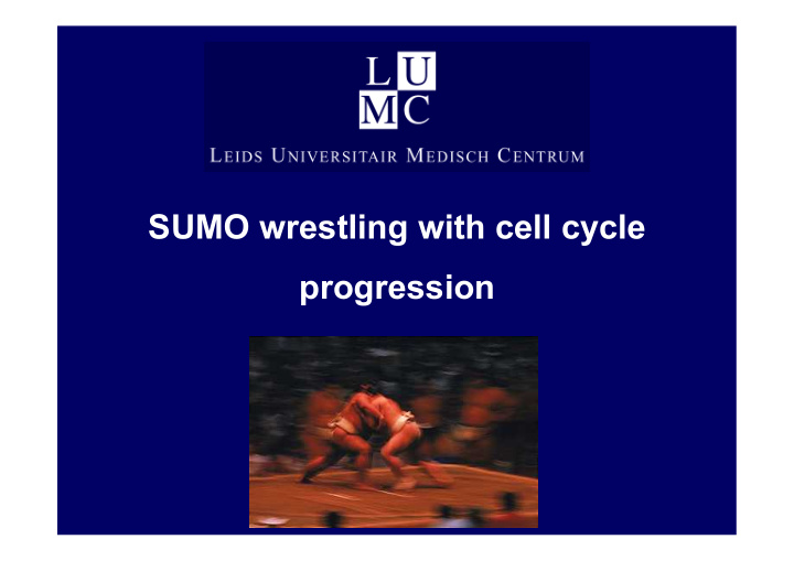 sumo wrestling with cell cycle progression outline