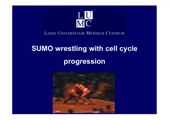 SUMO wrestling with cell cycle  progression  Outline  SUMO Introduction  A critical role for