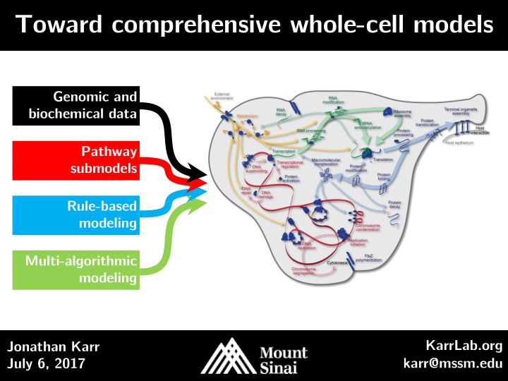 toward comprehensive whole cell models