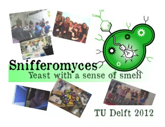 1    1   Our  team  Menno,  Yifan,  Mark,  Marcel,  Isabelle      Lizah,