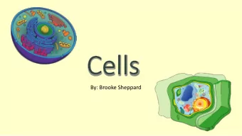 By: Brooke Sheppard  What is a Cell?  Cells are the basic structure of life  for all organisms.