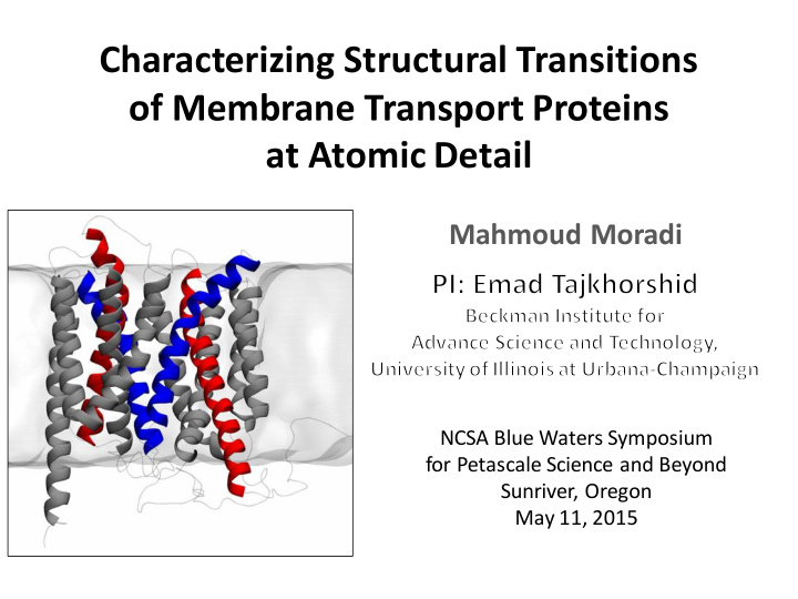 characterizing structural transitions of membrane