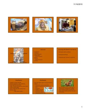 11/16/2010  Overview  Receiving Calls Related to the Red Fox  Classification  Winning the