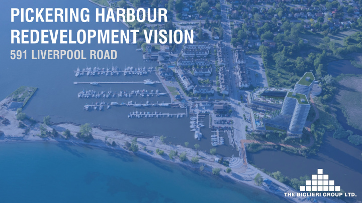 redevelopment vision