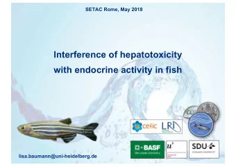 lnterference of hepatotoxicity  with endocrine activity in fish  lisa.baumann@uni-heidelberg.de
