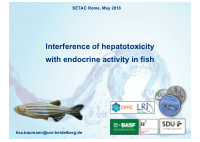 lnterference of hepatotoxicity with endocrine activity in
