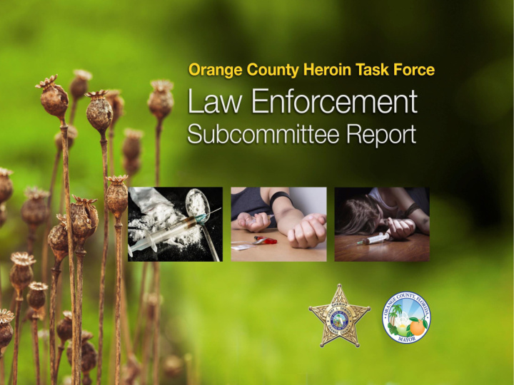 law enforcement subcommittee