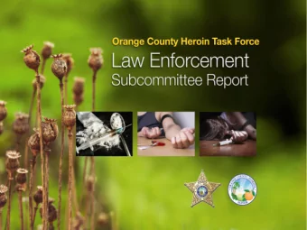 Law Enforcement Subcommittee Subcommittee Co-Chairs :  Chief John Mina, Orlando Police