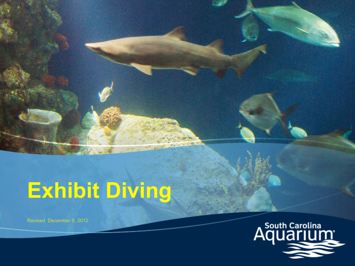 exhibit diving
