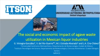 The so  soci  cial an  and economic im  impact of  of ag  agave waste  uti  tili  lization in  in