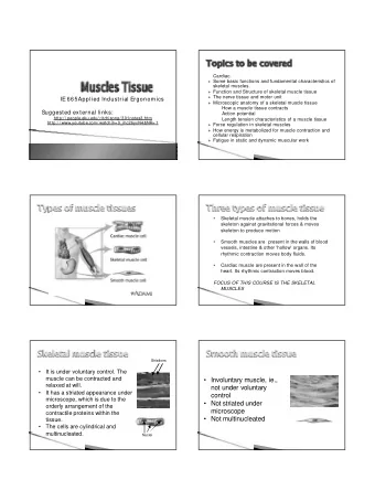 Involuntary muscle, ie.,  relaxed at will.  not under voluntary    It has a striated