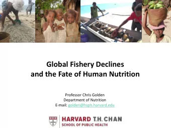 Global Fishery Declines  and the Fate of Human Nutrition  Professor Chris Golden  Department of