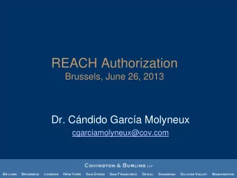 REACH Authorization  Brussels, June 26, 2013  Dr. Cndido Garca Molyneux