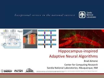 Hippocampus-inspired  Adaptive Neural Algorithms  Brad Aimone  Center for Computing Research