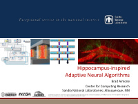 hippocampus inspired adaptive neural algorithms