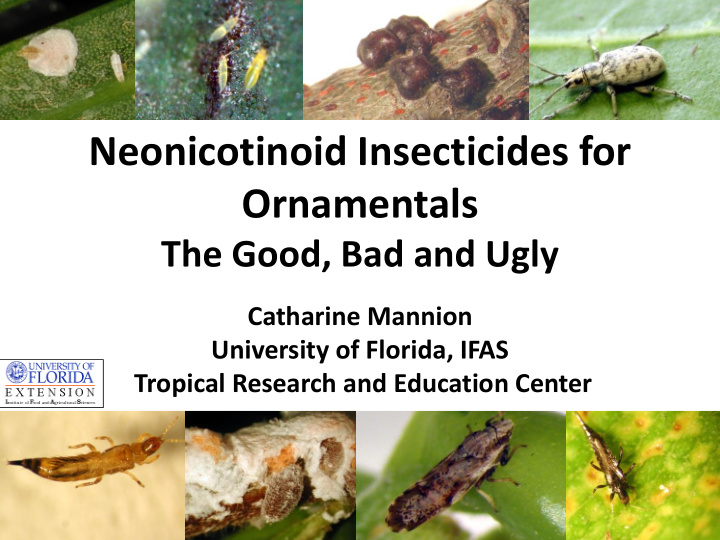 neonicotinoid insecticides for ornamentals