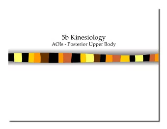 5b Kinesiology AOIs - Posterior Upper Body  5b Kinesiology AOIs - Posterior Upper Body  Class