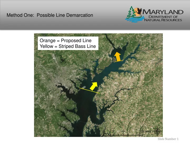 yellow striped bass line