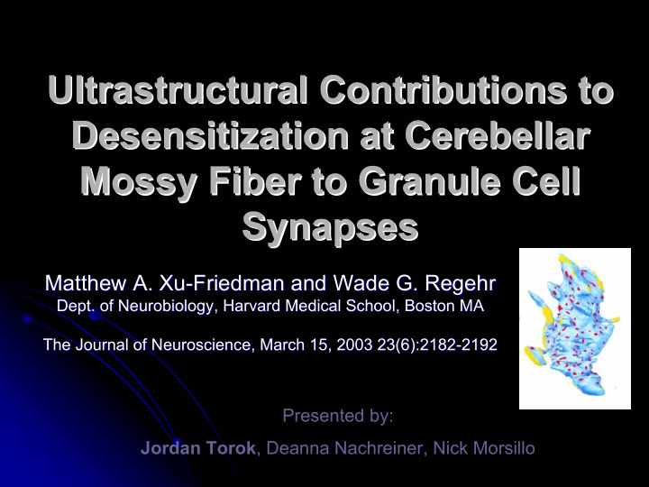 ultrastructural contributions to contributions to