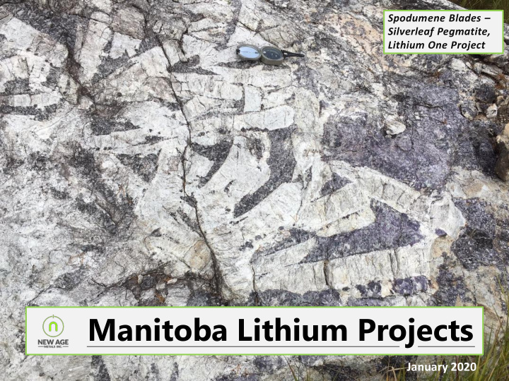 manitoba lithium projects