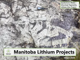 Manitoba Lithium Projects  January 2020  Tanco Mine  New Age has active mining claims for lithium