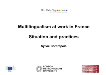 Multilingualism at work in France  Situation and practices  Sylvie Contrepois  IMMIGRATION &amp;