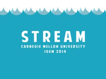 First, about our team:  Ali Celentano  Dominique MacCalla  Nicole Matamala  Danielle Peters