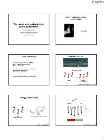 21.03.2014  Achilles tendon forces during  human running  The role of tendon elasticity for  sports