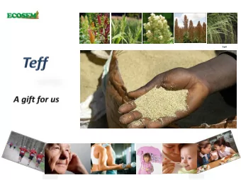 Teff  The ancient grain  Teff  Teff  Teff highlights  Teff compared to whole wheat  Tasty grain