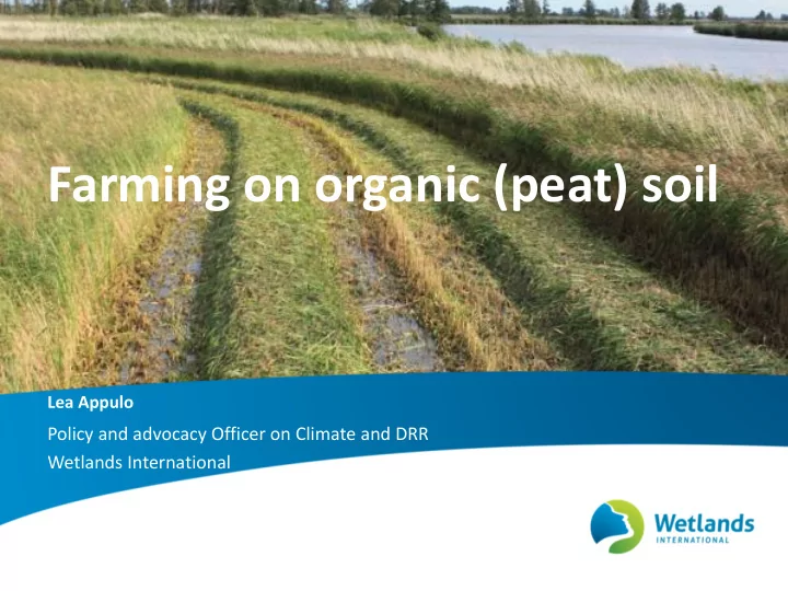 farming on organic peat soil