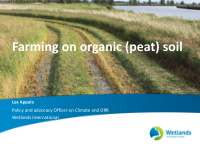 farming on organic peat soil