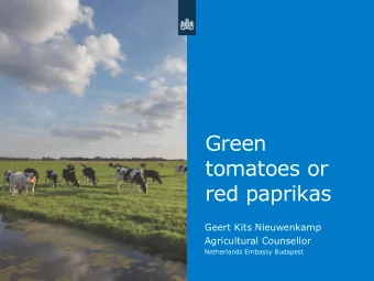Green  tomatoes or  red paprikas  Geert Kits Nieuwenkamp  Agricultural Counsellor  Netherlands