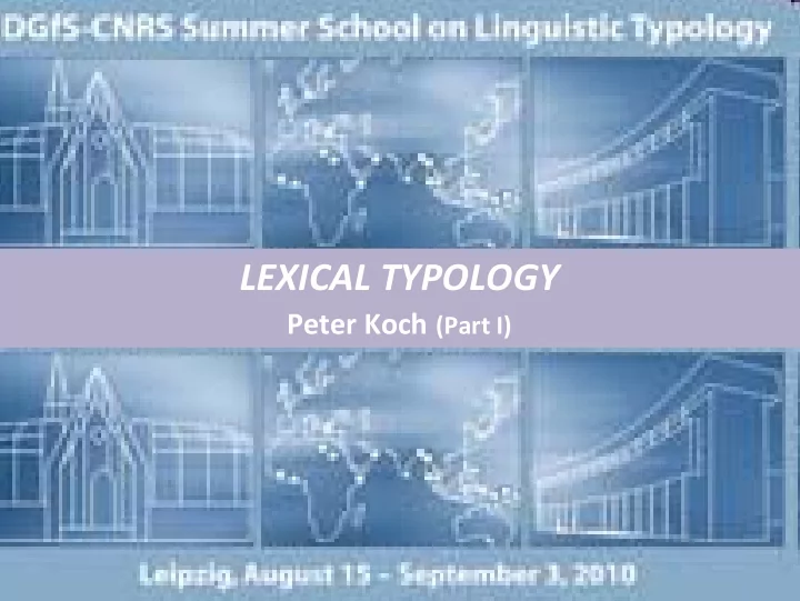 lexical typology