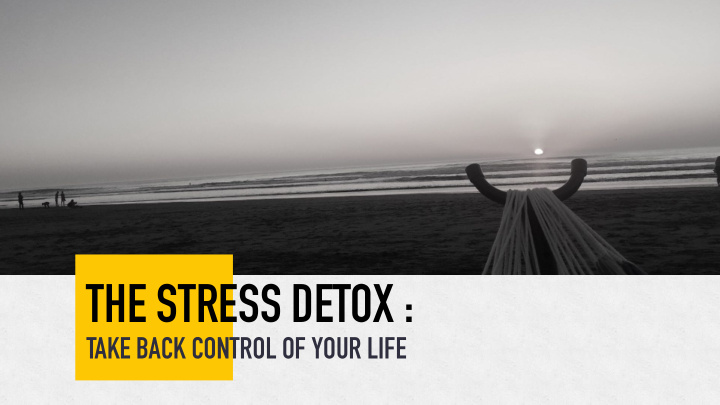 the stress detox