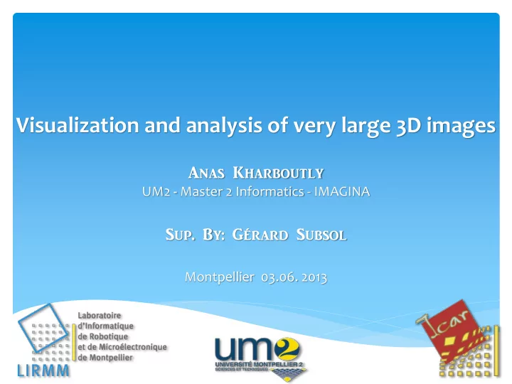 visualization and analysis of very large 3d images