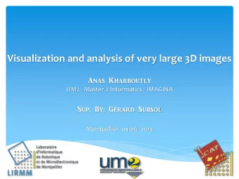 Visualization and analysis of very large 3D images Anas Kharboutly UM2 - Master 2 Informatics -