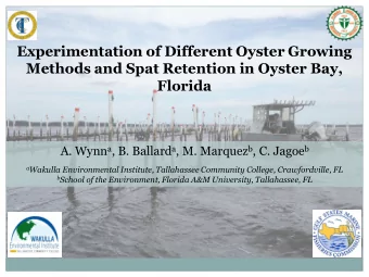 Experimentation of Different Oyster Growing  Methods and Spat Retention in Oyster Bay,  Florida A.