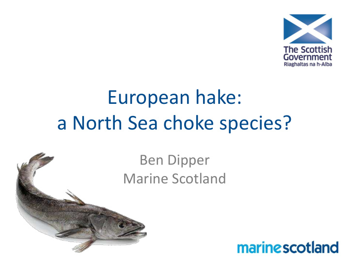 european hake a north sea choke species