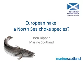 European hake:  a North Sea choke species?  Ben Dipper  Marine Scotland  What is the issue?