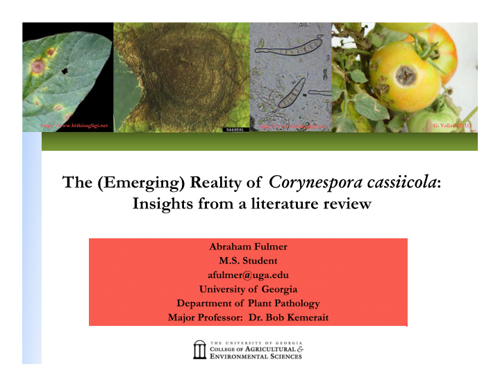 the emerging reality of corynespora cassiicola insights