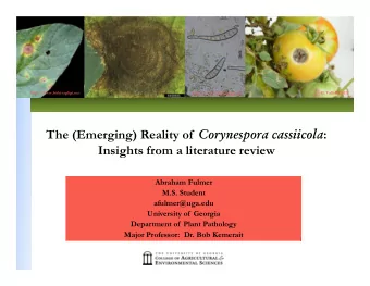 The (Emerging) Reality of Corynespora cassiicola :  Insights from a literature review  Abraham