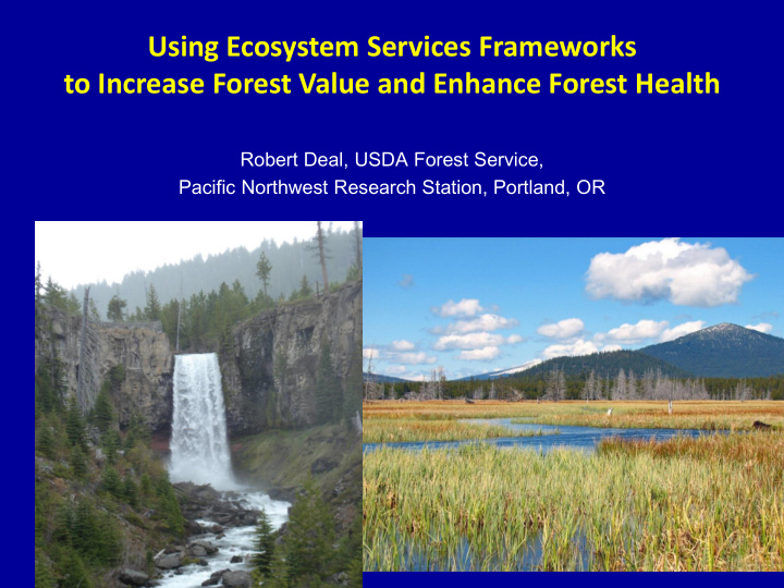 using ecosystem services frameworks