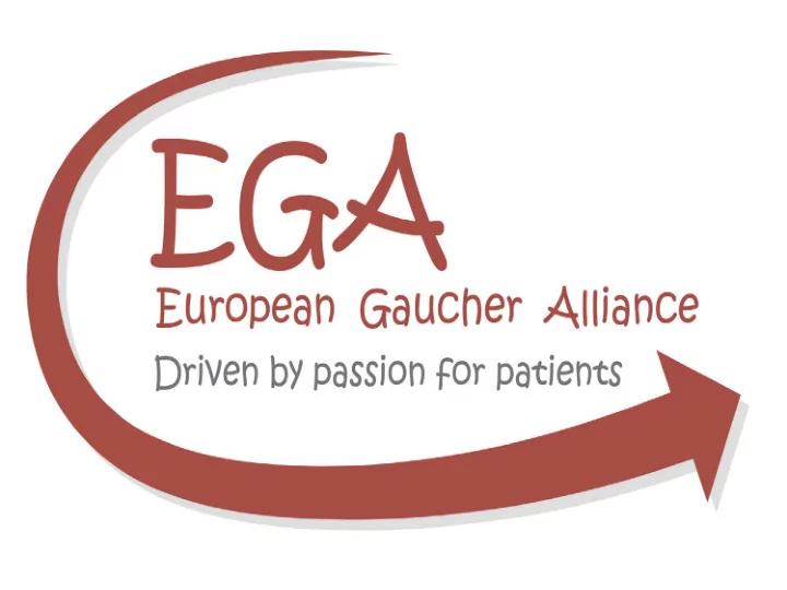 patients and families priorities gaucher disease