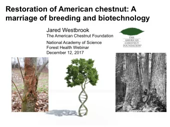 Restoration of American chestnut: A  marriage of breeding and biotechnology Jared Westbrook  The