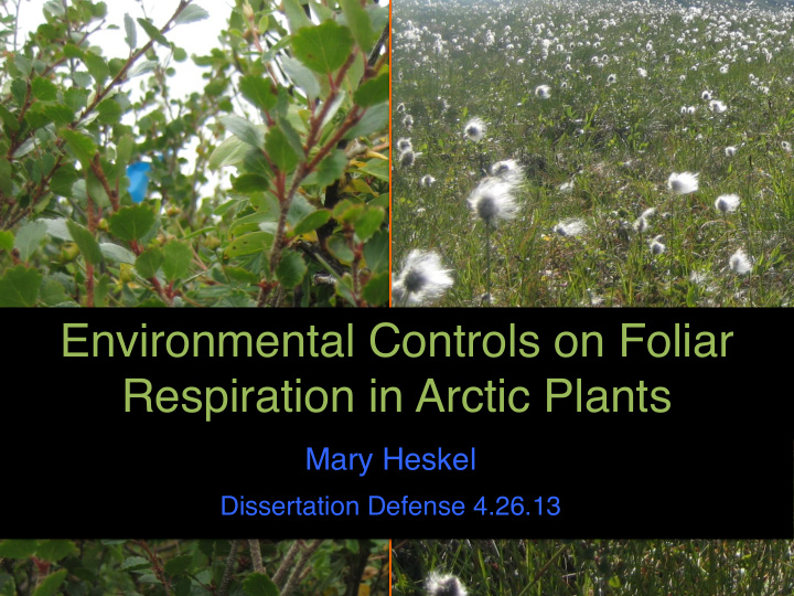 environmental controls on foliar respiration in arctic